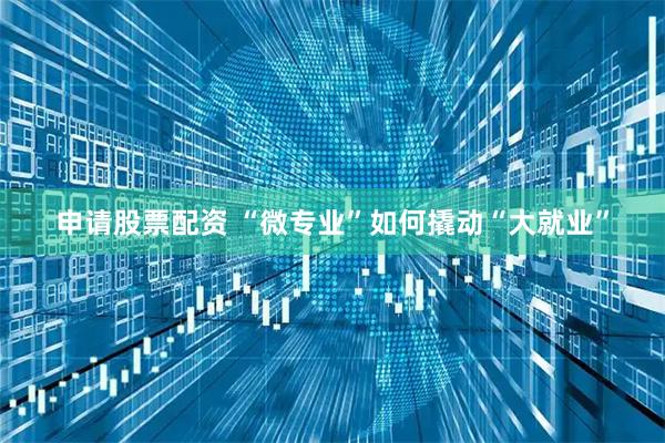 申请股票配资 “微专业”如何撬动“大就业”